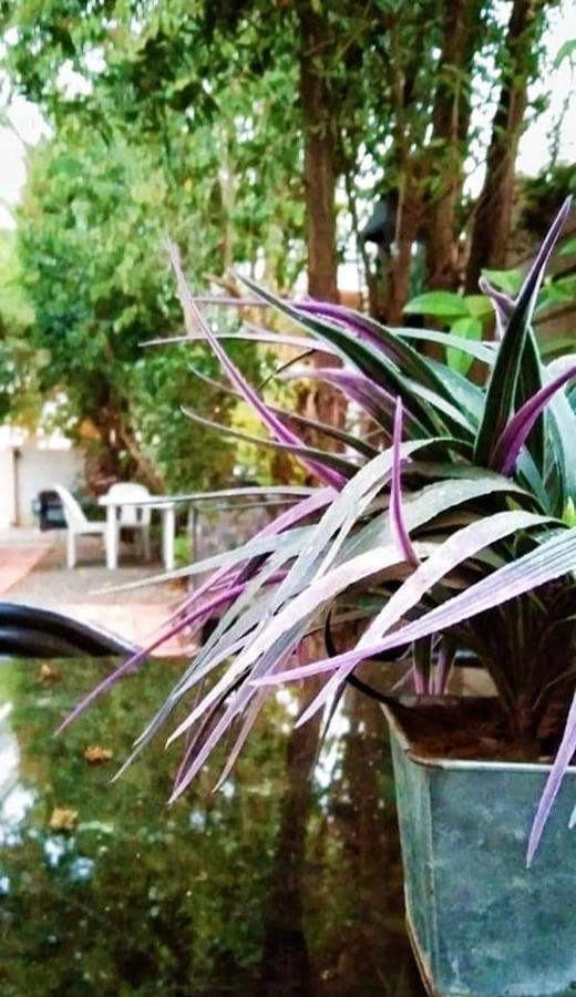 Aandrus Guesthouse Μπλουμφοντέιν Εξωτερικό φωτογραφία